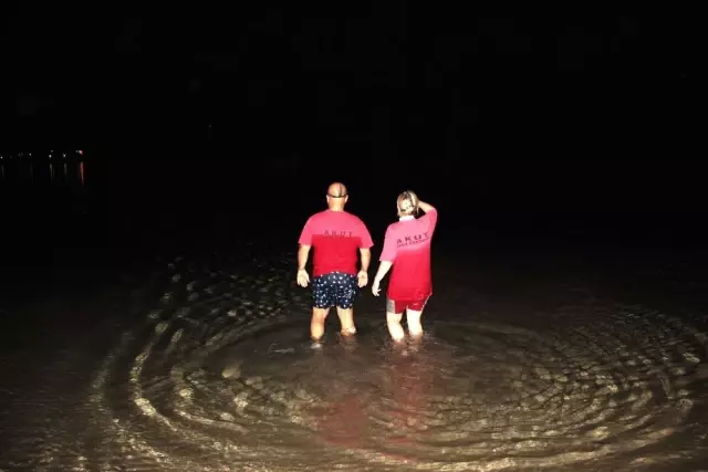 Sadece Avustralya'da Bulunan Siyah Kuğuyu Bodrum'da Gören Vatandaşlar Şok Oldu!