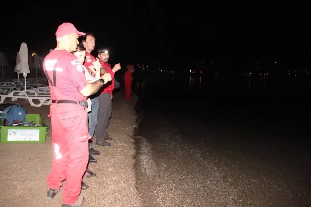 Sadece Avustralya'da Bulunan Siyah Kuğuyu Bodrum'da Gören Vatandaşlar Şok Oldu!