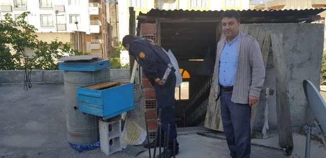 İtfaiyeci Isırılmasını Aldırış Etmedi, Arıları Çıplak Elle Böyle Topladı