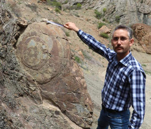 1,5 Metre Yüksekliğindeki Salyangozu Andıran Kaya Şaşkına Çevirdi