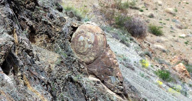 1,5 Metre Yüksekliğindeki Salyangozu Andıran Kaya Şaşkına Çevirdi