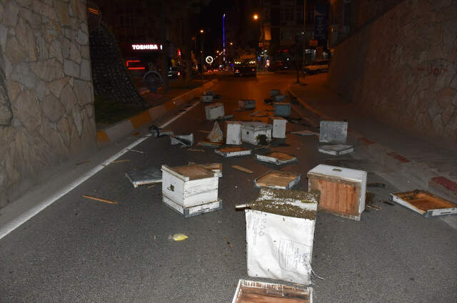 Kamyon Kaza Yapınca Kasadaki Arı Kovanları Yola Saçıldı Kamyon Kaza Yapınca Kasadaki Arı Kovanları Yola Saçıldı