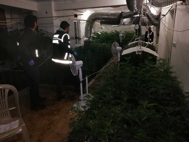 Lüks Villaları, Özel Sistemle Uyuşturucu Tarlasına Çevirmişler