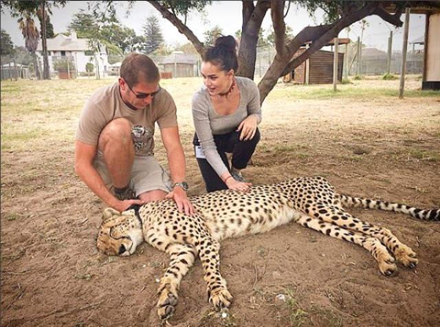 Fahriye Evcen ve Burak Özçivit'in Uyutulmuş <a class='keyword-sd' href='/cita/' title='Çita'>Çita</a> ile Verdikleri Poz Tepki Çekti