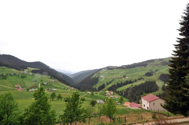 Teröristler Pencere ve Kapıları Kırarak Girdikleri Yayla Evlerinden Erzak Çaldı