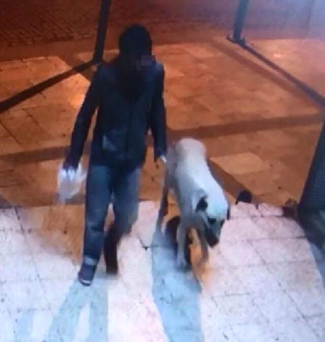 Köpeği Boğarak Öldürdükten Sonra Tecavüz Eden Uyuşturucu Bağımlısı Yakalandı