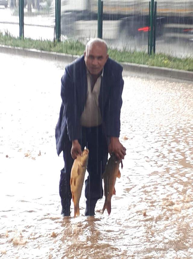 Ergani'de Aşırı Yağış Sele Neden Oldu, Dicle'deki Balıklar İlçe Merkezine Kadar Geldi