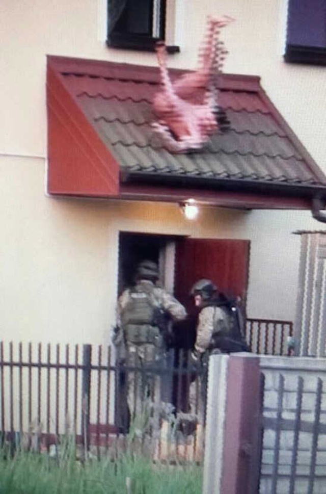 Polonya'da Polisten Kaçan Çıplak Çete Üyesi Camdan Düştü