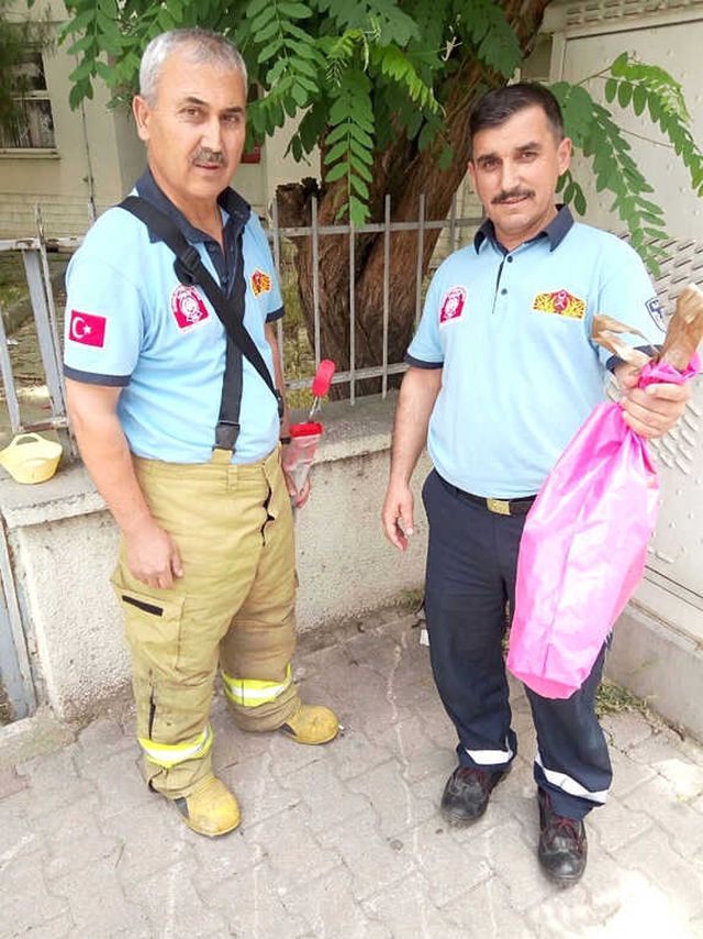 Vatandaşların Yılan Sanıp Öldürmek İstediği Oluklu Kertenkele, Son Anda Kurtarıldı