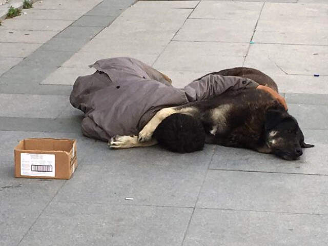 Taksim'de Köpeğine Sarılarak Uyuyan Çocuk Yürek Sızlattı Taksim'de Köpeğine Sarılarak Uyuyan Çocuk, Yürek Sızlattı