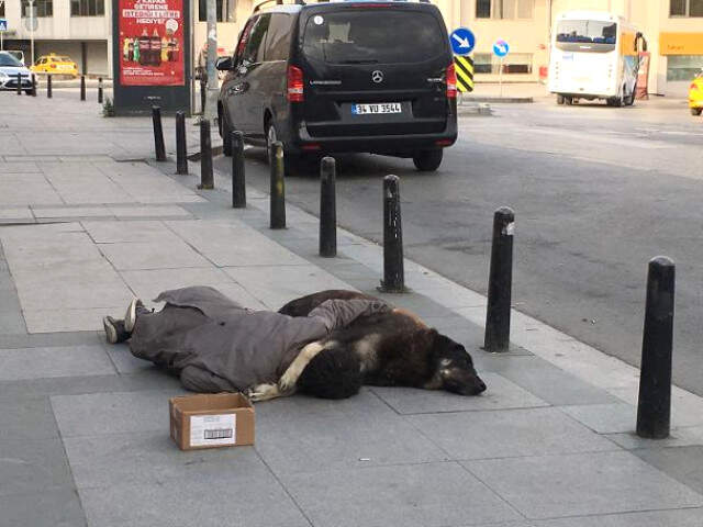Taksim'de Köpeğine Sarılarak Uyuyan Çocuk Yürek Sızlattı Taksim'de Köpeğine Sarılarak Uyuyan Çocuk, Yürek Sızlattı