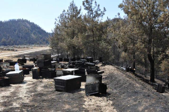 Ormanlık Alanda Çıkan Yangında Alevler, Bal Dolu Kovanları ve Arıları Yuttu