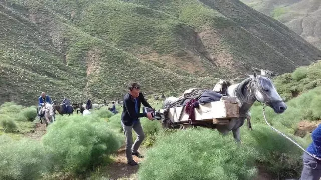 Yıldırım Çarpıp Ölen 18 Yaşındaki Gencin Cenazesi Katır Sırtında Taşındı