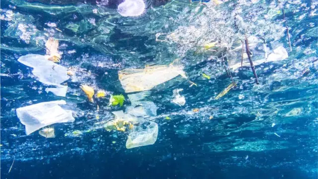 Avrupa Birliği'nden Tek Kullanımlık Plastiği Yasaklama Önerisi