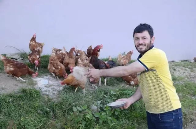 Kemal Sunal Filmlerinden İlham Alan Girişimci, Mobil Köy Yumurtası Servisi Kurdu