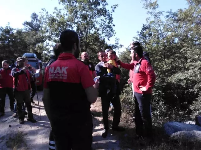 Oyun Oynarken Kaybolan Minik Ali, Geceyi Ormanda Uyuyarak Geçirdi