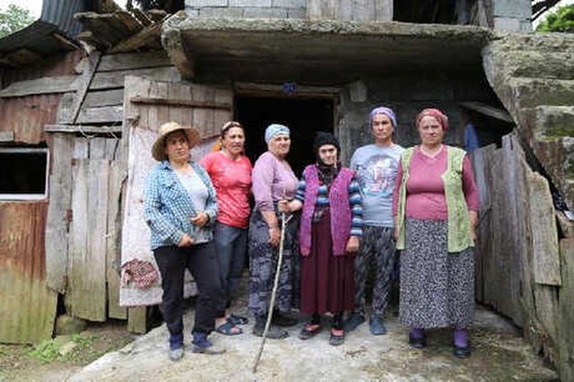 Artvin'de Büyükbaş Ölümleri Başlayınca, 'Hayvanlarınızı Dışarı Çıkartmayın' Uyarısı Geldi
