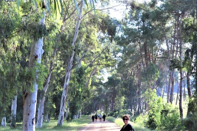 Adana İçin Son Çağrı