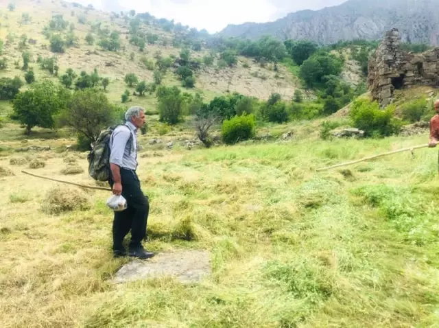 Beytüşşebap'ta Terör Yüzünden Ekilemeyen Araziler Yeşillendi