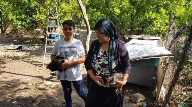 Fen Bilgisi Öğretmeni Keşfettiği Tavuk Irkına Annesinin Adını Verdi