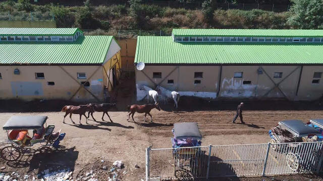 Adalar'da Atlar İçin Yapılan Fayton Park Havadan Görüntülendi