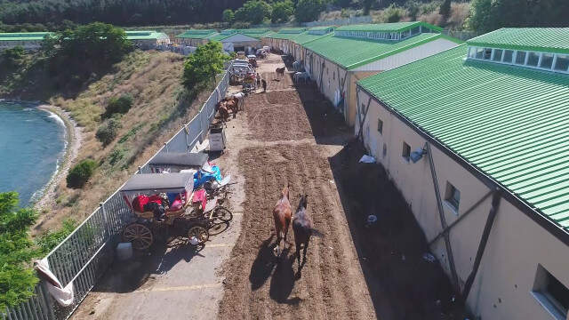 Adalar'da Atlar İçin Yapılan Fayton Park Havadan Görüntülendi