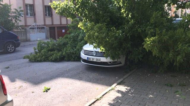 Ağırlığa Dayanamayan Ağacın Dalları, Lüks Aracın Üzerine Devrildi