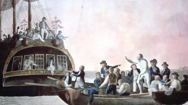 Ekmek Ağacı Meyvesi: Adalardaki 'Süper Besin'