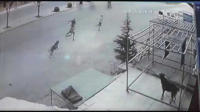 Karaman'da Köpekten Kaçan Çocuğa, Otomobil Çarpıp Kaçtı