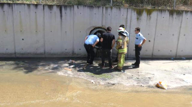 14 Yaşındaki Hırsız, Polislerin Elinden Kanalizasyona Saklanarak Kaçtı