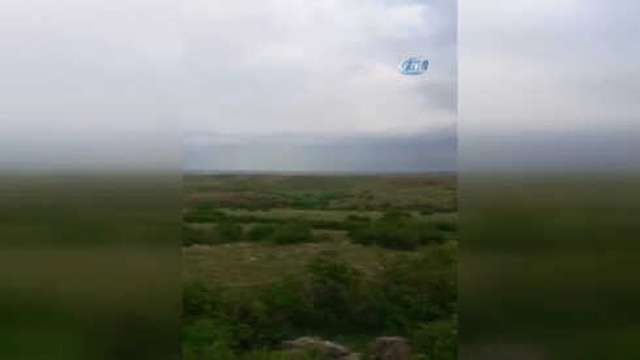 Kangal Köpeği Ayıya Meydan Okudu
