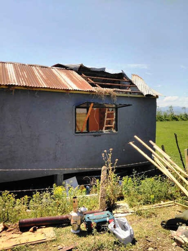 Kaçak Yapıların Yıkımına Kuş Yuvası Engeli