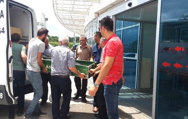 Üniversite Öğrencisine Çarpan Yaşlı Adam, Vicdan Azabına Dayanamayıp İntihar Etti
