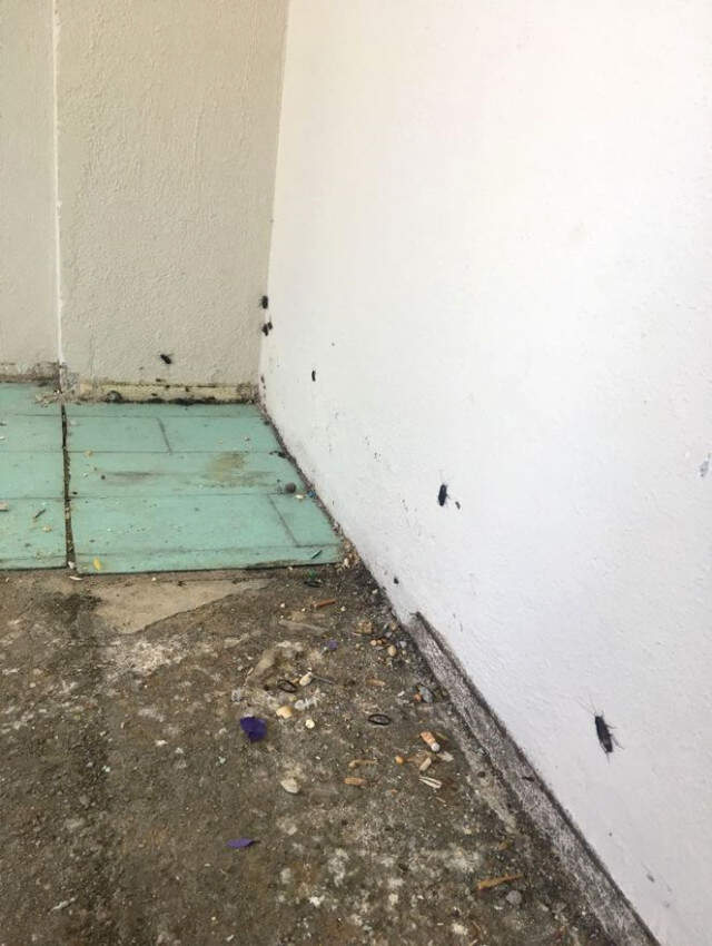 Esra Erol Dar Gelirli Ailenin Evini Yeniledi