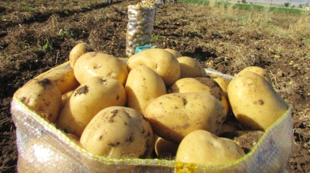 Bakan Fakıbaba'dan Patates Çıkışı: 50 Kuruşluk Ürünü 6 TL'ye Yedirenden Hesap Soracağız