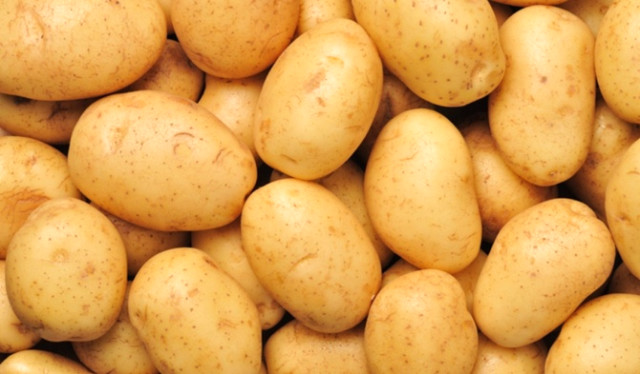 Bakan Fakıbaba'dan Patates Çıkışı: 50 Kuruşluk Ürünü 6 TL'ye Yedirenden Hesap Soracağız