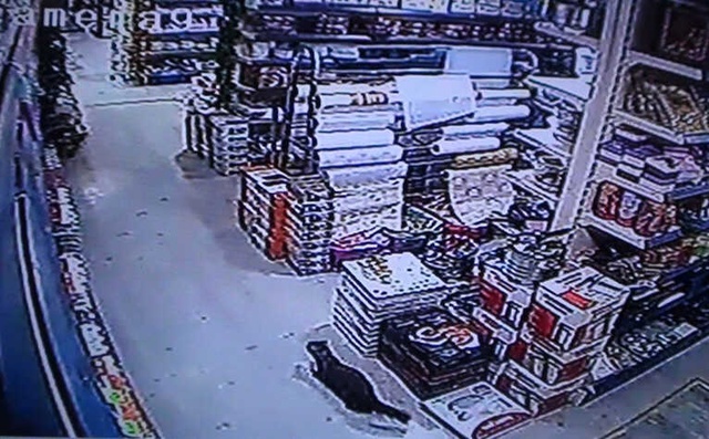İş Yerine Giren Sansar Paniğe Yol Açtı, O Anlar Saniye Saniye Görüntülendi