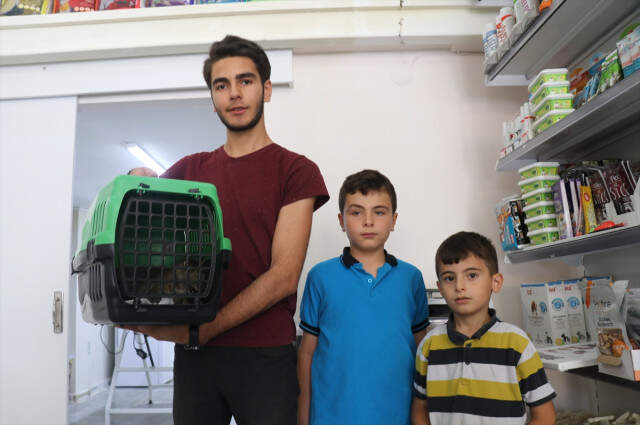 Yalova'da Arka Ayakları Kesilmiş İki Yavru Kedi Bulundu