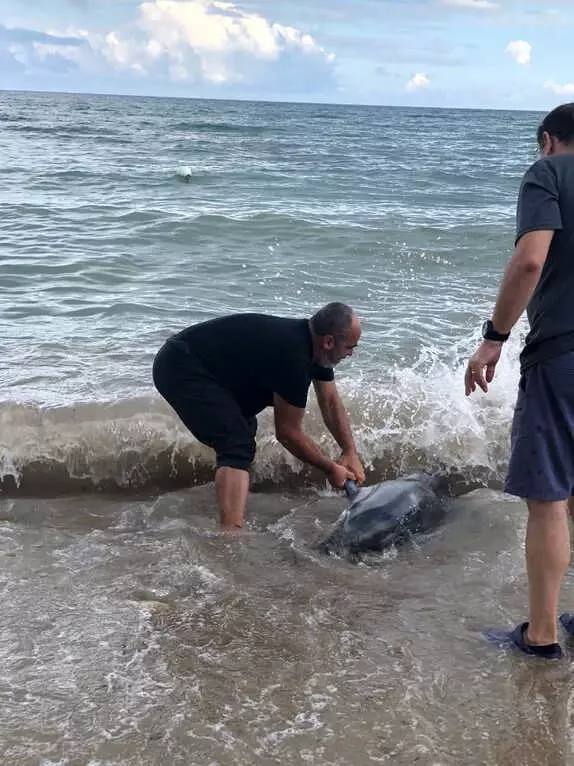 Yavru Yunusu, Çıplak Elle Yakalayıp Hayata Döndüren 'Kırkpınar Ağası' Takdir Topladı