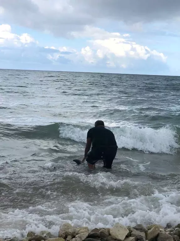 Yavru Yunusu, Çıplak Elle Yakalayıp Hayata Döndüren 'Kırkpınar Ağası' Takdir Topladı