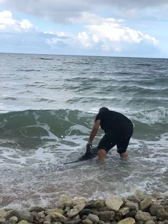 Yavru Yunusu, Çıplak Elle Yakalayıp Hayata Döndüren 'Kırkpınar Ağası' Takdir Topladı