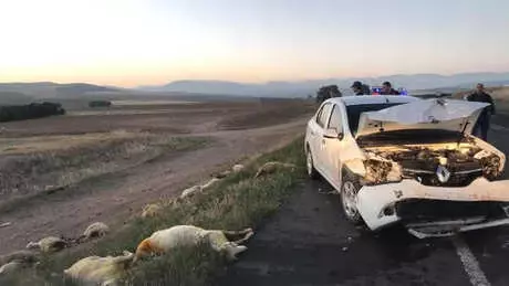 Niğde'de Sürüye Çarpan Araç Hurdaya Döndü: 3 Kişi Yaralı, 20 Koyun Telef Oldu