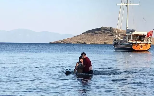 Bodrum Belediye Başkanı Mehmet Kocadon Boğulan Tatilcinin Hayatını Kurtardı