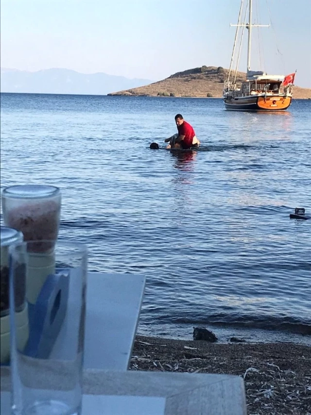 Bodrum Belediye Başkanı Mehmet Kocadon Boğulan Tatilcinin Hayatını Kurtardı