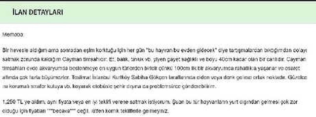 Pitull ve Pitonlardan Sonra Şimdi de İnternette Yasa Dışı Timsah Satışı Başladı