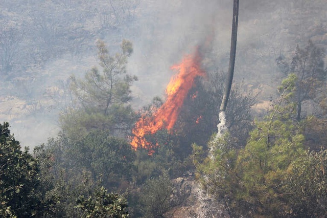 Bodrum'daki Yangın Tehdidi Nedeniyle Çevredeki Evler Boşaltıdı