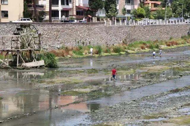 Yeşilırmak Kurudu, Vatandaşlar Üzüleceğine Balık Derdine Düştü