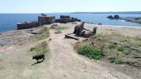 Boğaz'ın İncisi Rumeli Feneri Kalesi, İneklere Terk Edildi