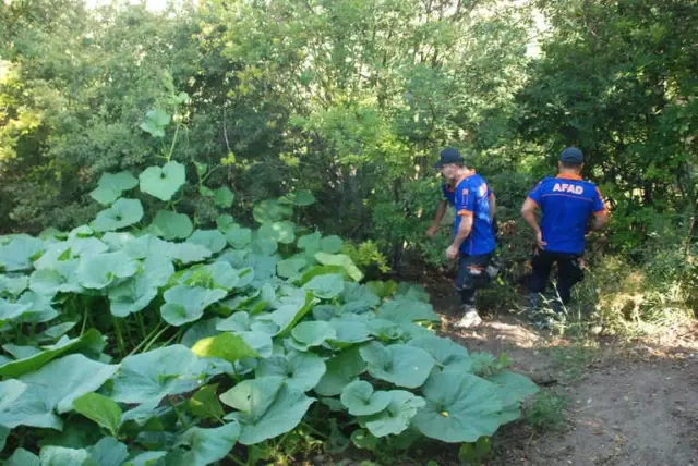 Ormanda Kaybolan 3 Yaşındaki Evrim'i Bulmak İçin Herkes Seferber Oldu