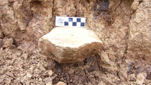 Afrika Dışında Bilinen En Eski İnsan Kalıntısı Bulundu